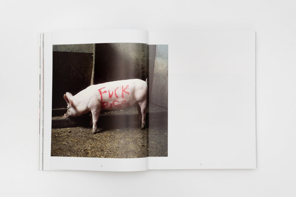 banksy-captured-by-steve-lazarides-vol-1-paperback-Banksy-Art Book-2738x1825