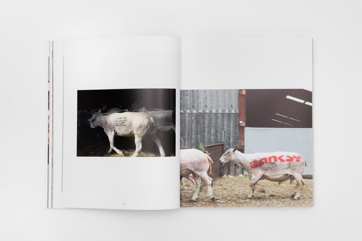 banksy-captured-by-steve-lazarides-vol-2-Banksy-Art Book-2738x1825