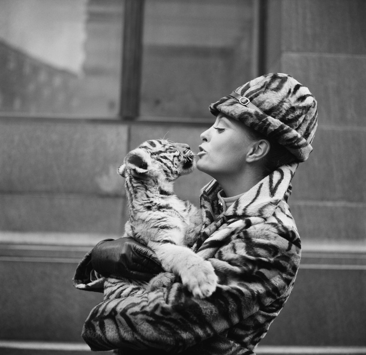 Black and white photograph of an air stewardess in a tiger print uniform and hat cradling a Bengal tiger cub, 1971