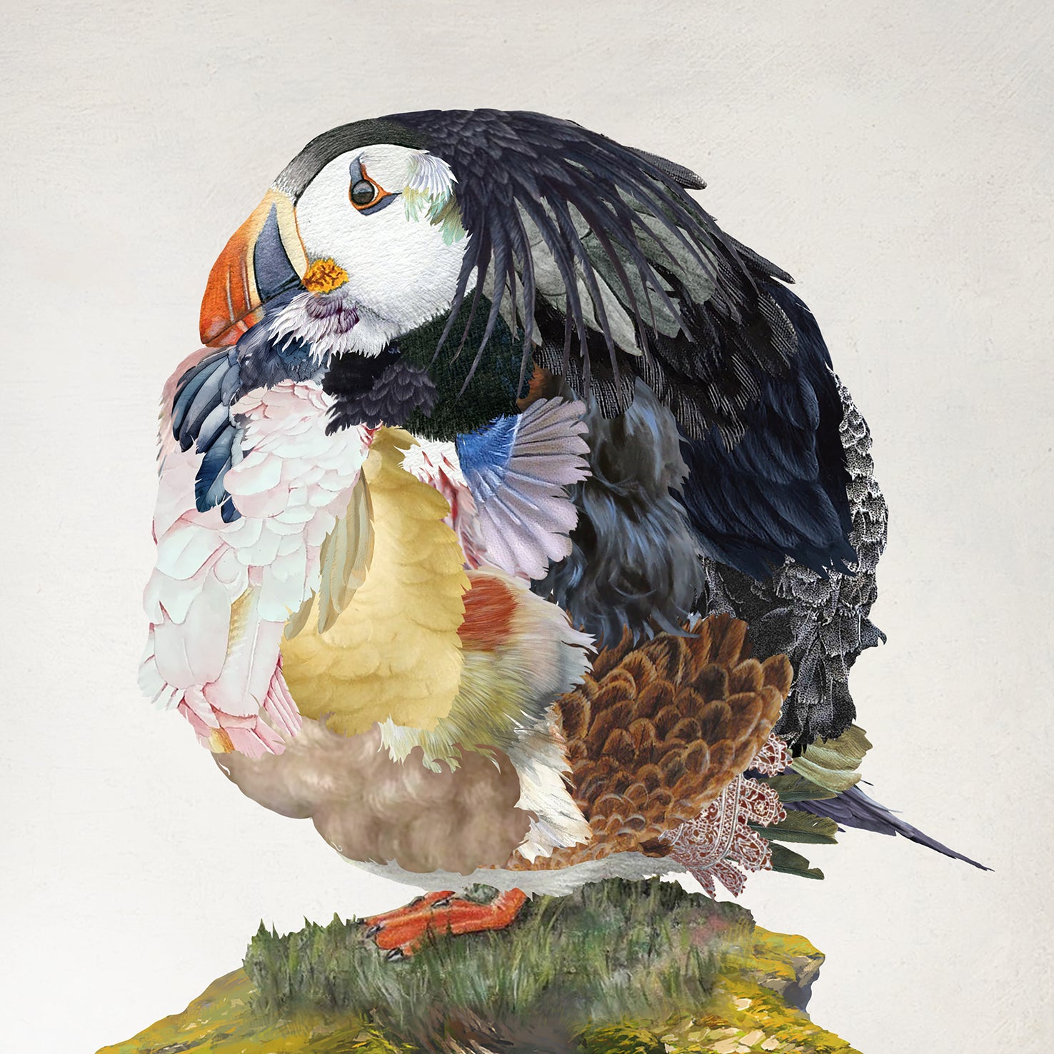 Common Puffin by Rosco Brittin