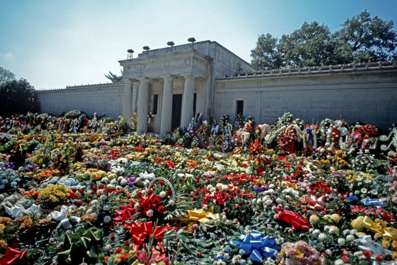 elvis-flowers-Alain Le Garsmeur-Photographic Print-800x534