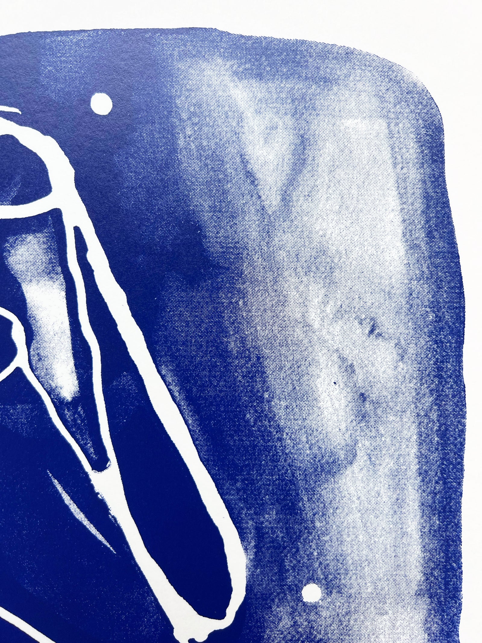 Summer Blues – Toes by Caroline Tomlinson