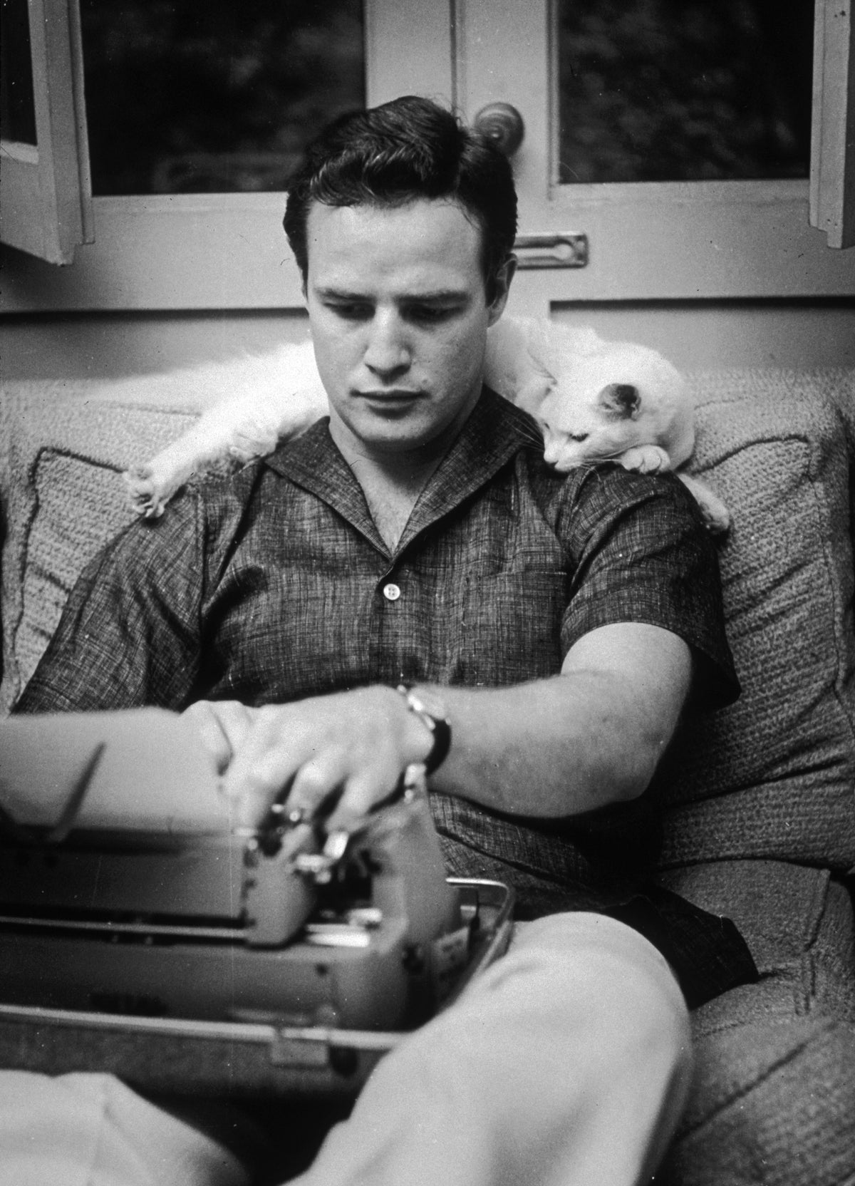 Black and white photograph of Marlon Brando typing on a typewriter in his lap as a white cat lies across his shoulders, 1954