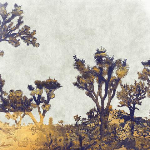 Joshua Tree by Nadia Attura