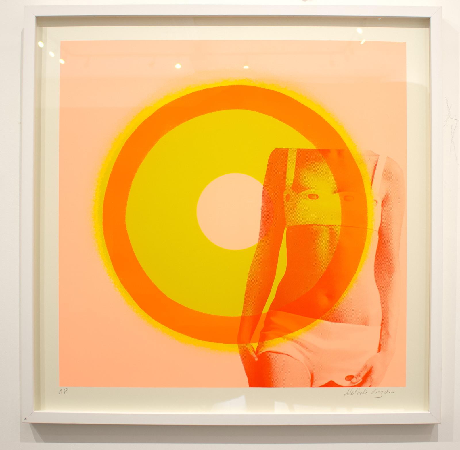 Ex Fan Des Sixties (Framed) by Nathalie Kingdon