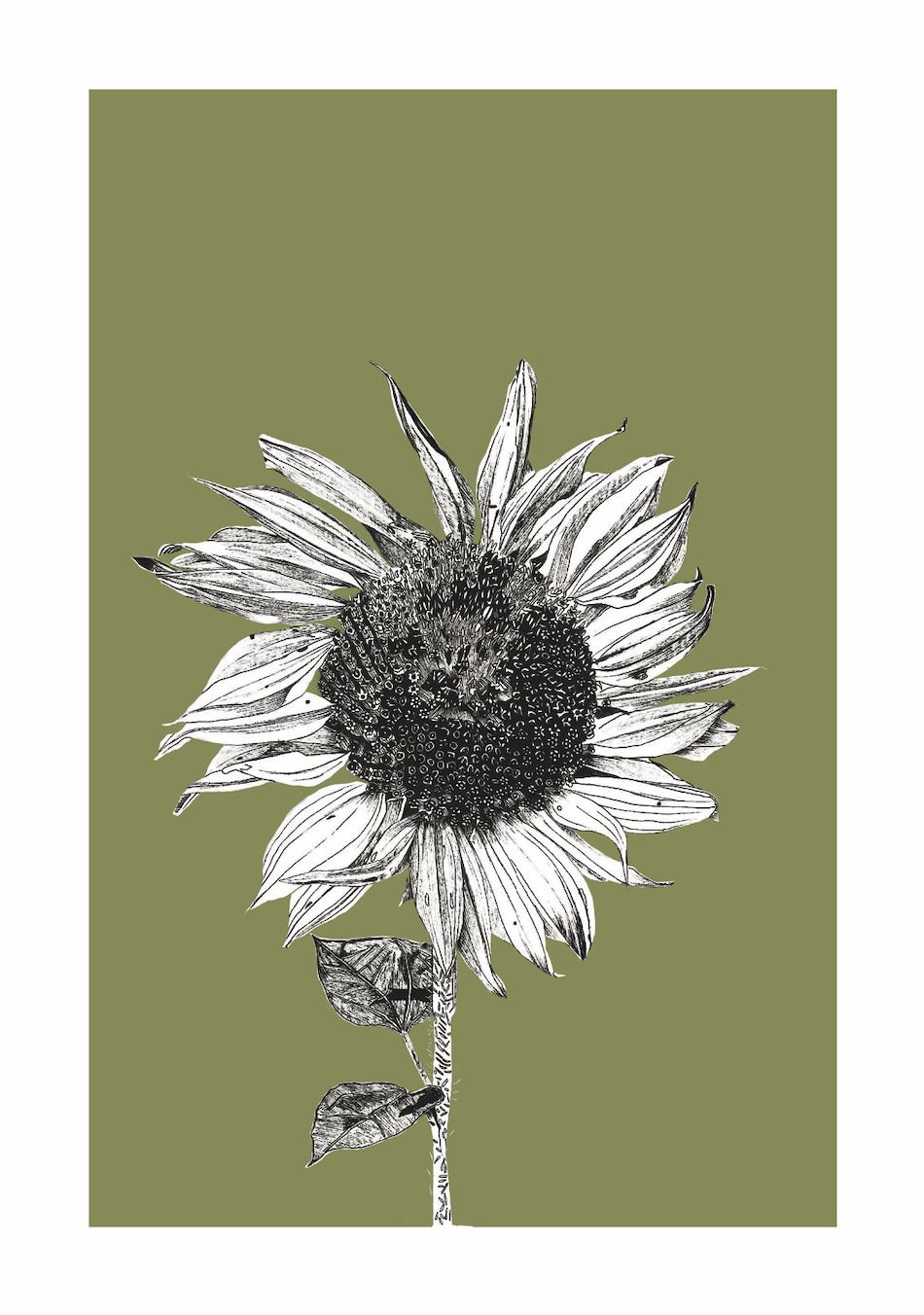 Dark Sunflower - Sap Green