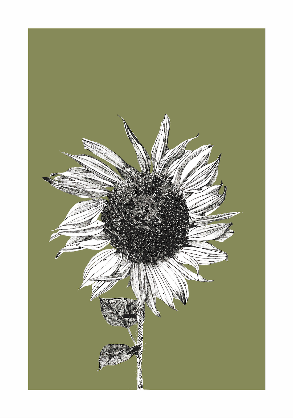 Dark Sunflower - Sap Green by Faye Casson