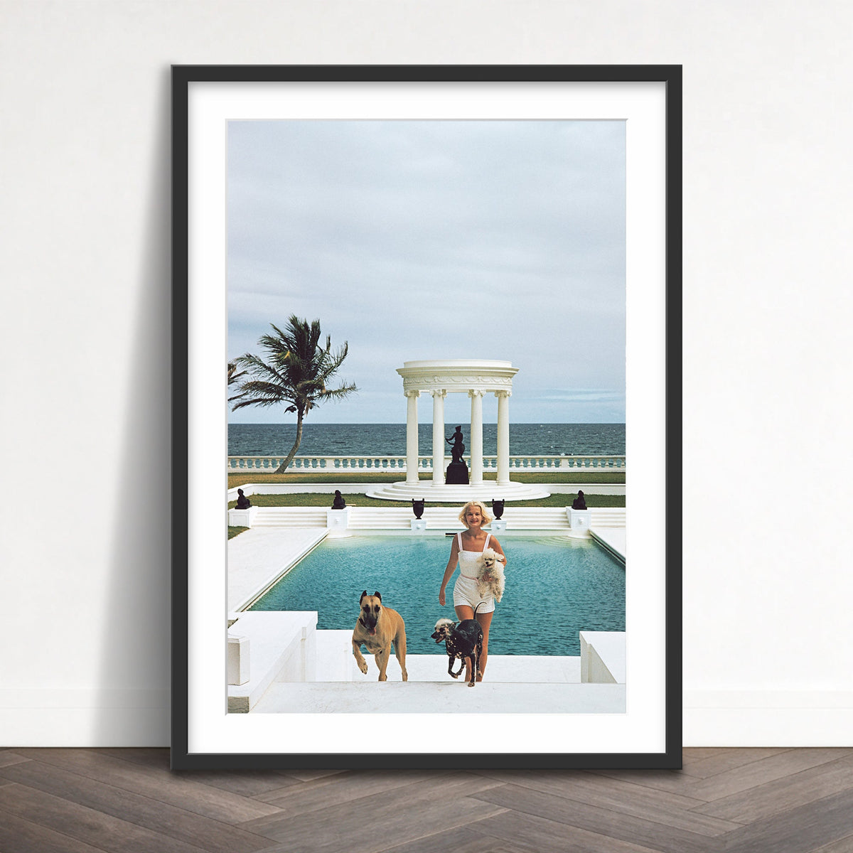 Slim Aarons - czs dogs - Photography - Getty Images