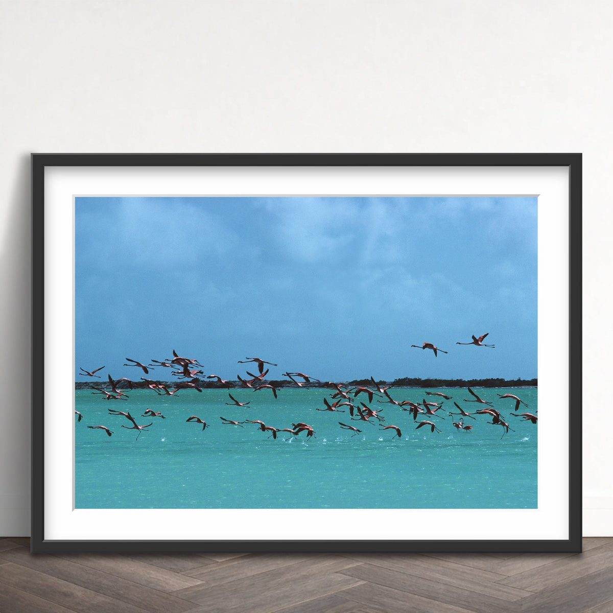 Slim Aarons - flamingos in curacao - Photography - Getty Images