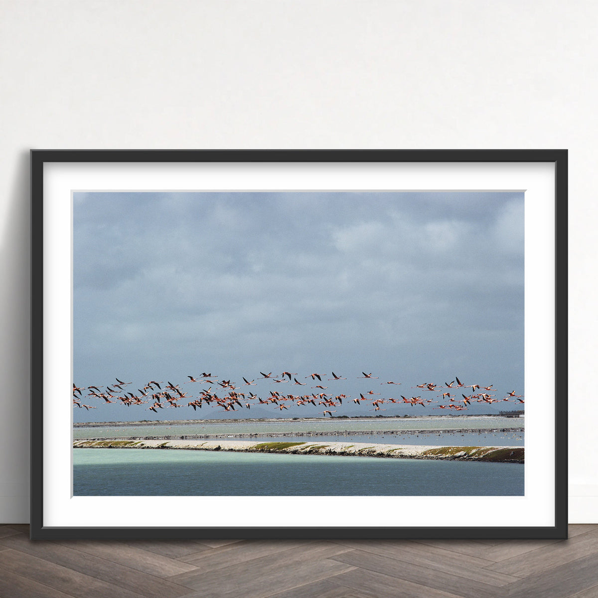 Slim Aarons - flamingos in flight - Photography - Getty Images