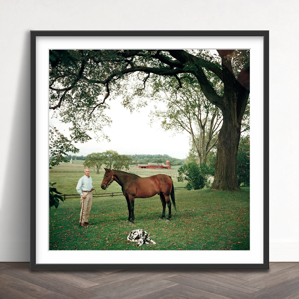 Slim Aarons - prize trotter - Photography - Getty Images