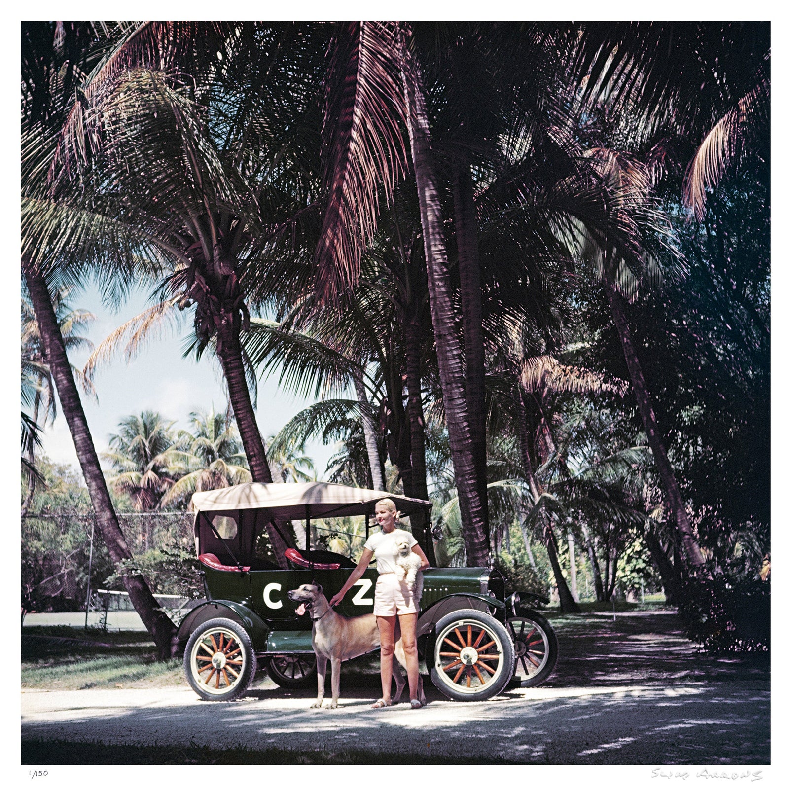 c z and friends - Slim Aarons - Limited Edition - Estate Stamped - Photography - Getty Images