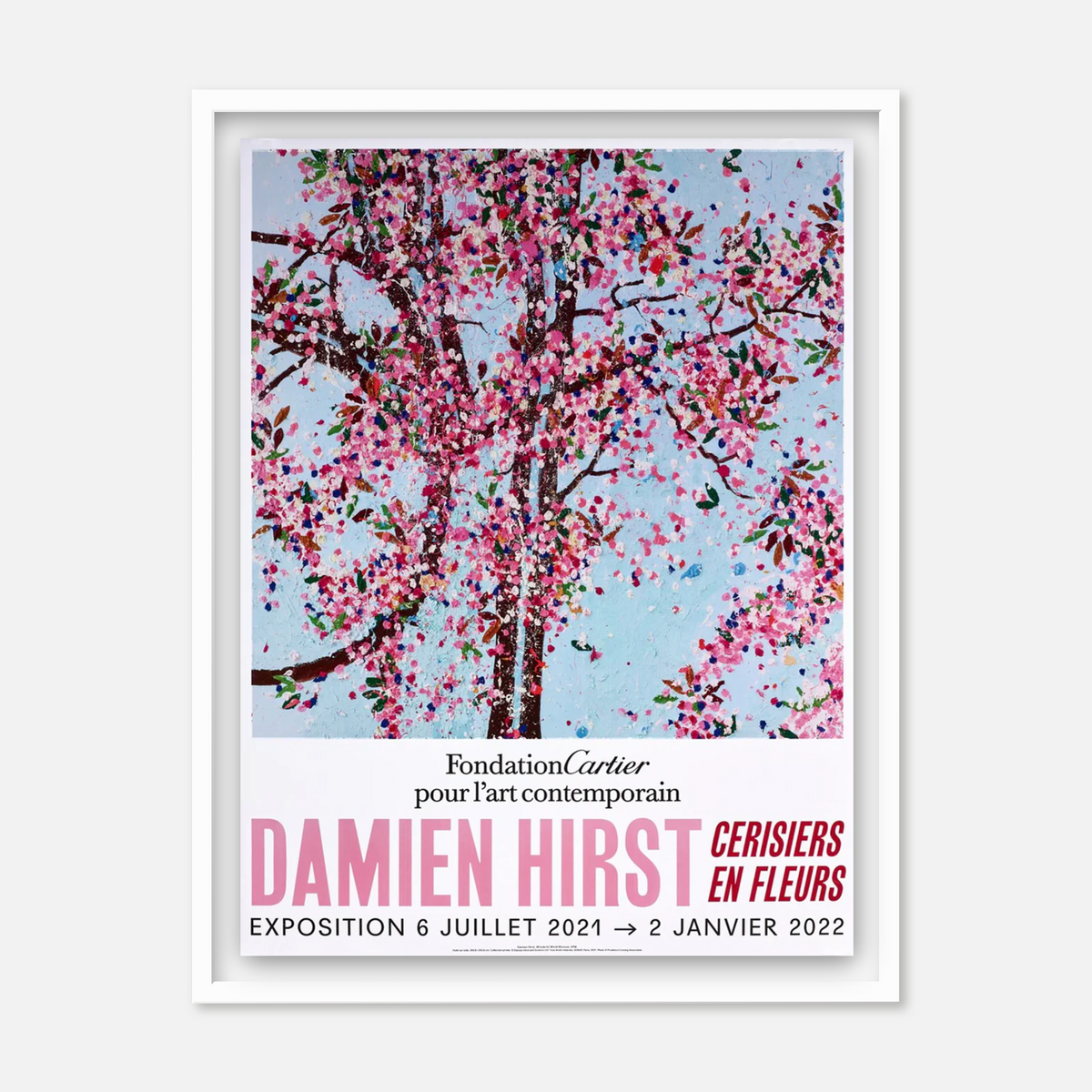 Cherry Blossoms (Set of 6) (Framed)