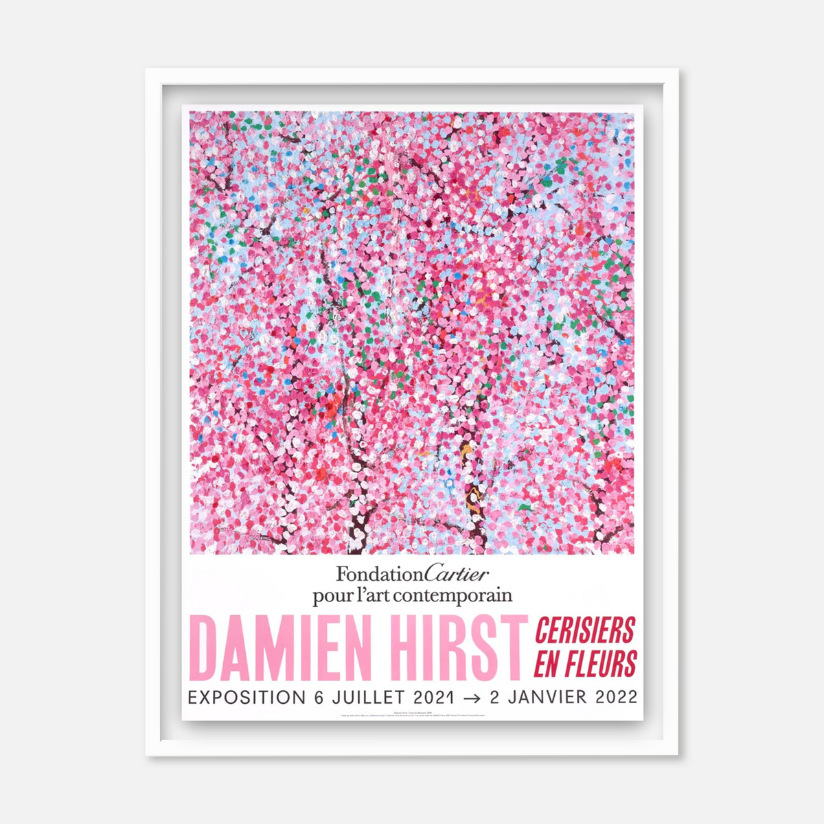 Cherry Blossoms (Set of 6) (Framed)