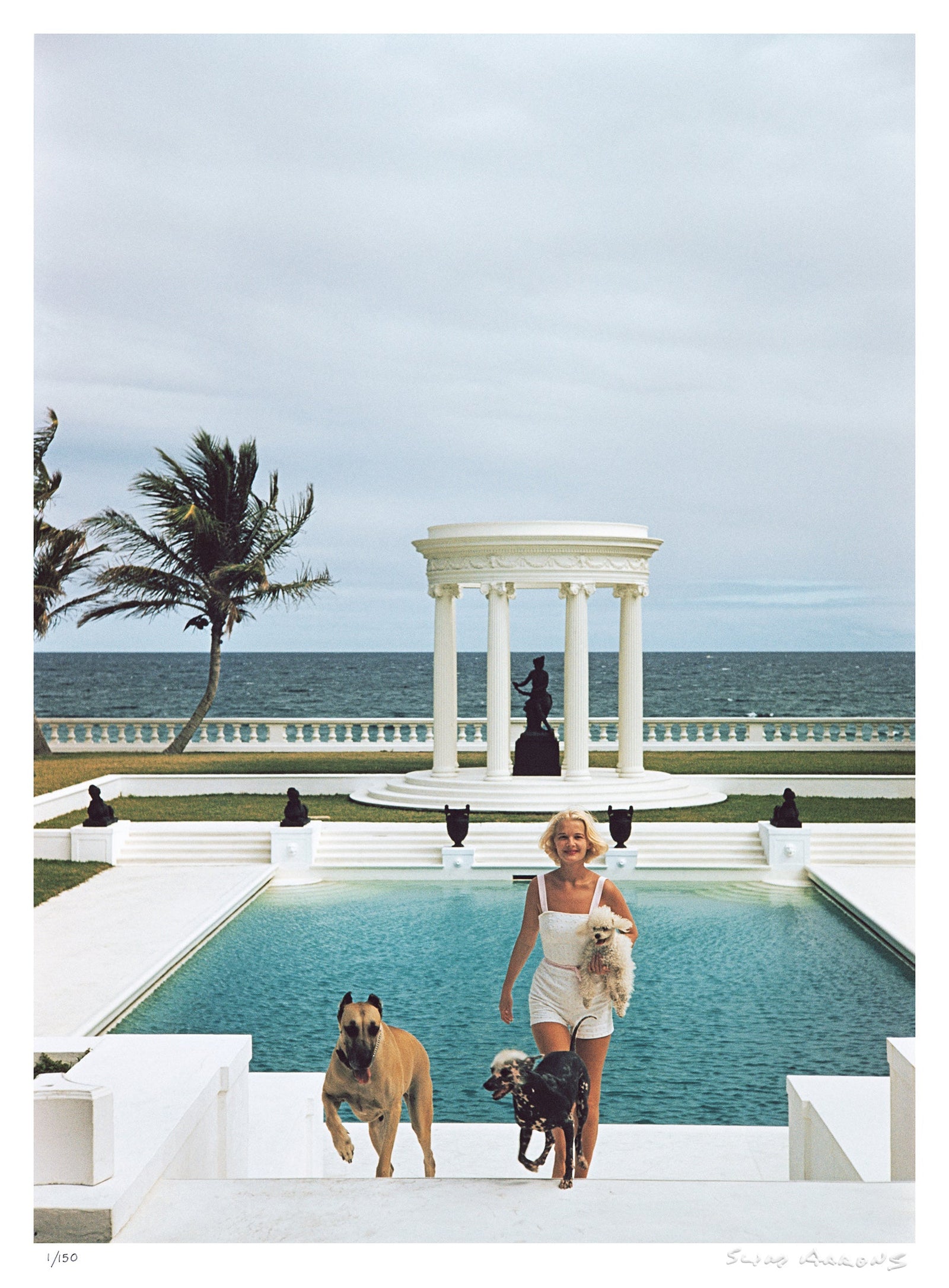 czs dogs - Slim Aarons - Limited Edition - Estate Stamped - Photography - Getty Images