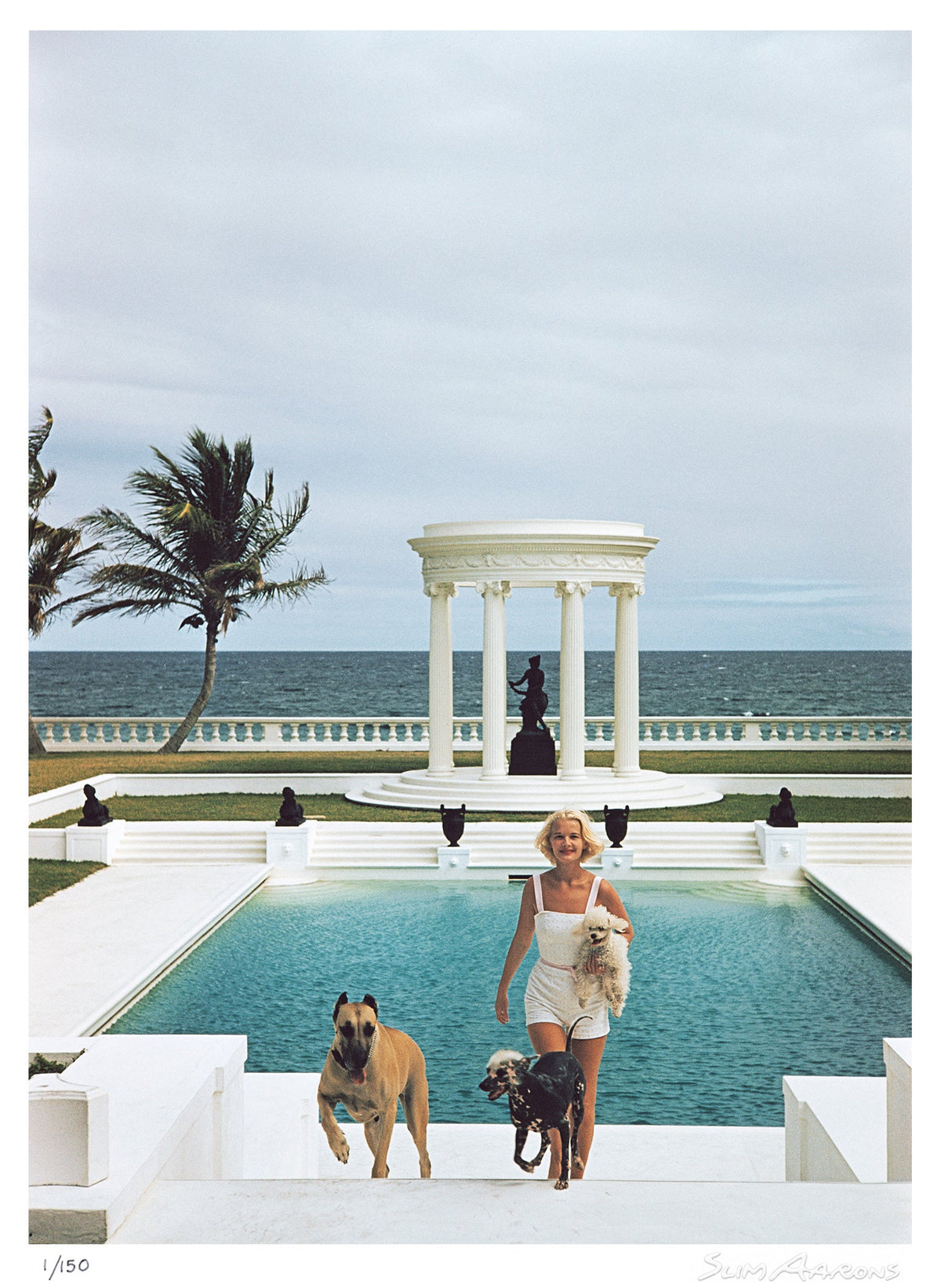 czs dogs - Slim Aarons - Limited Edition - Estate Stamped - Photography - Getty Images