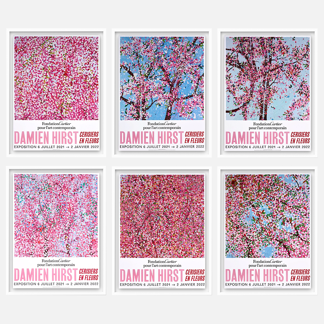 Cherry Blossoms (Set of 6) (Framed)