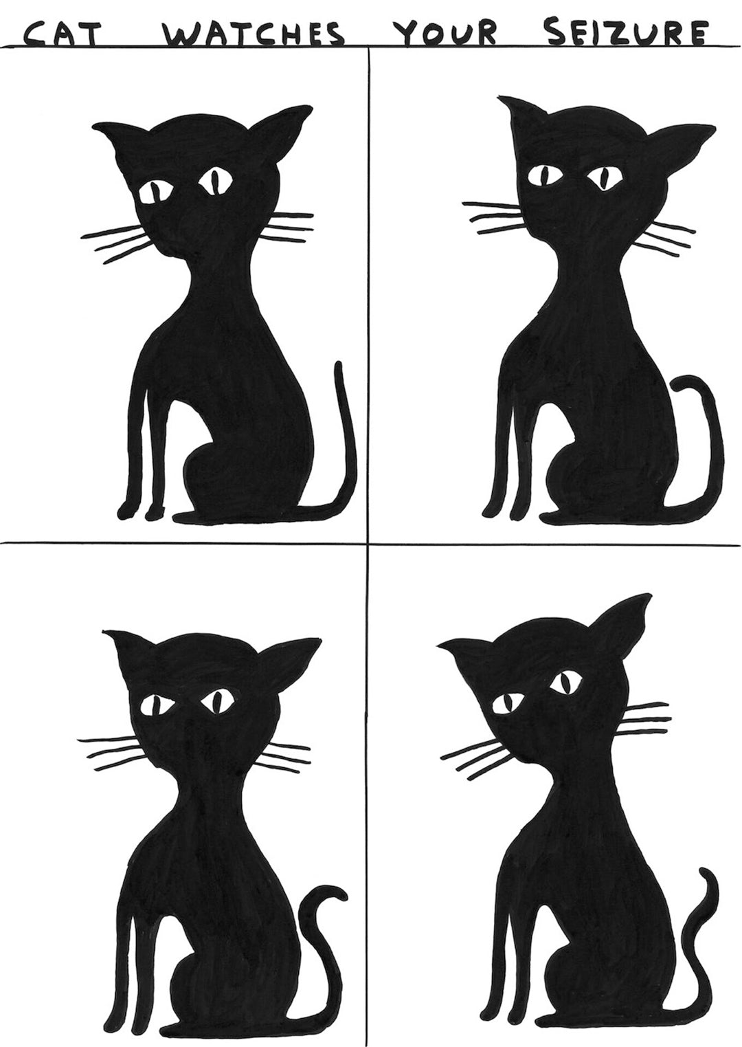 cat-watches-your-seizures-David Shrigley-Limited Edition Art Print-1080x1523