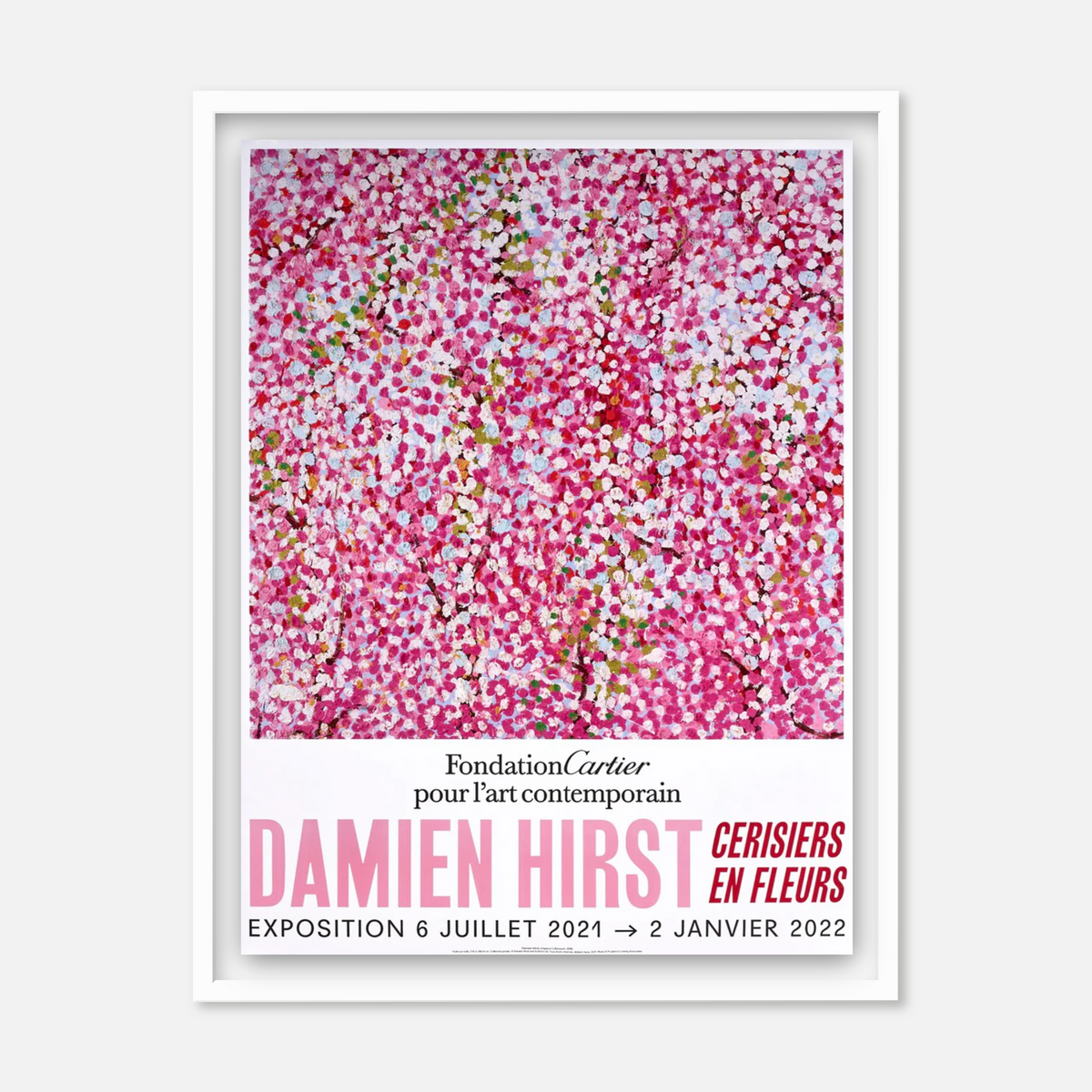 Cherry Blossoms (Set of 6) (Framed)