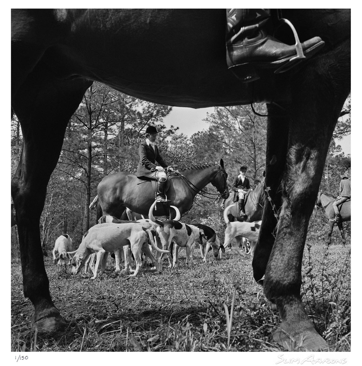 fox hunt - Slim Aarons - Limited Edition - Estate Stamped - Photography - Getty Images
