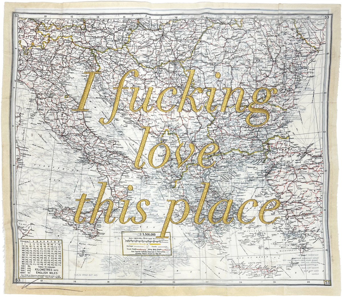 I Fucking Love This Place (Embroidered)