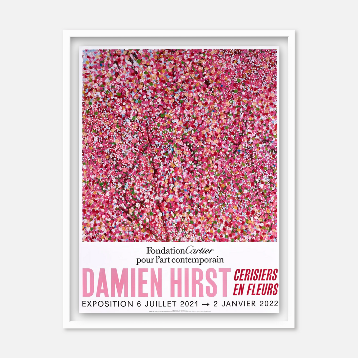 Cherry Blossoms (Set of 6) (Framed)