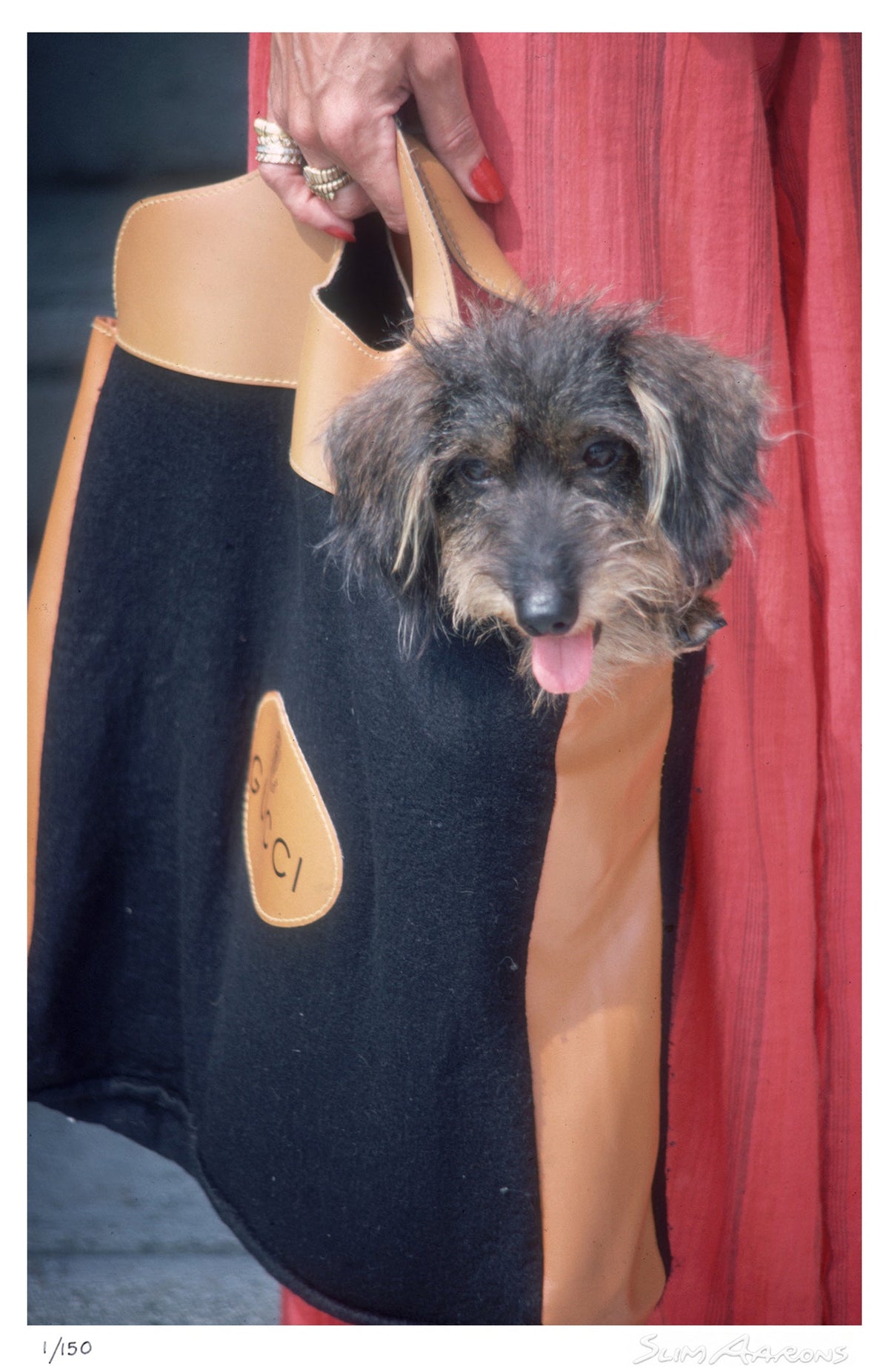 gucci pooch - Slim Aarons - Limited Edition - Estate Stamped - Photography - Getty Images