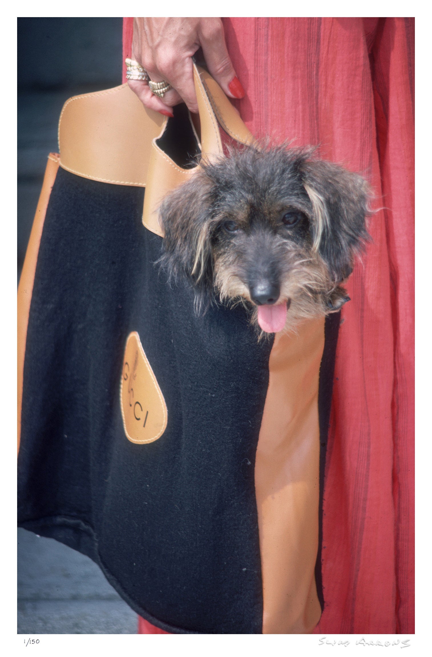 gucci pooch - Slim Aarons - Limited Edition - Estate Stamped - Photography - Getty Images