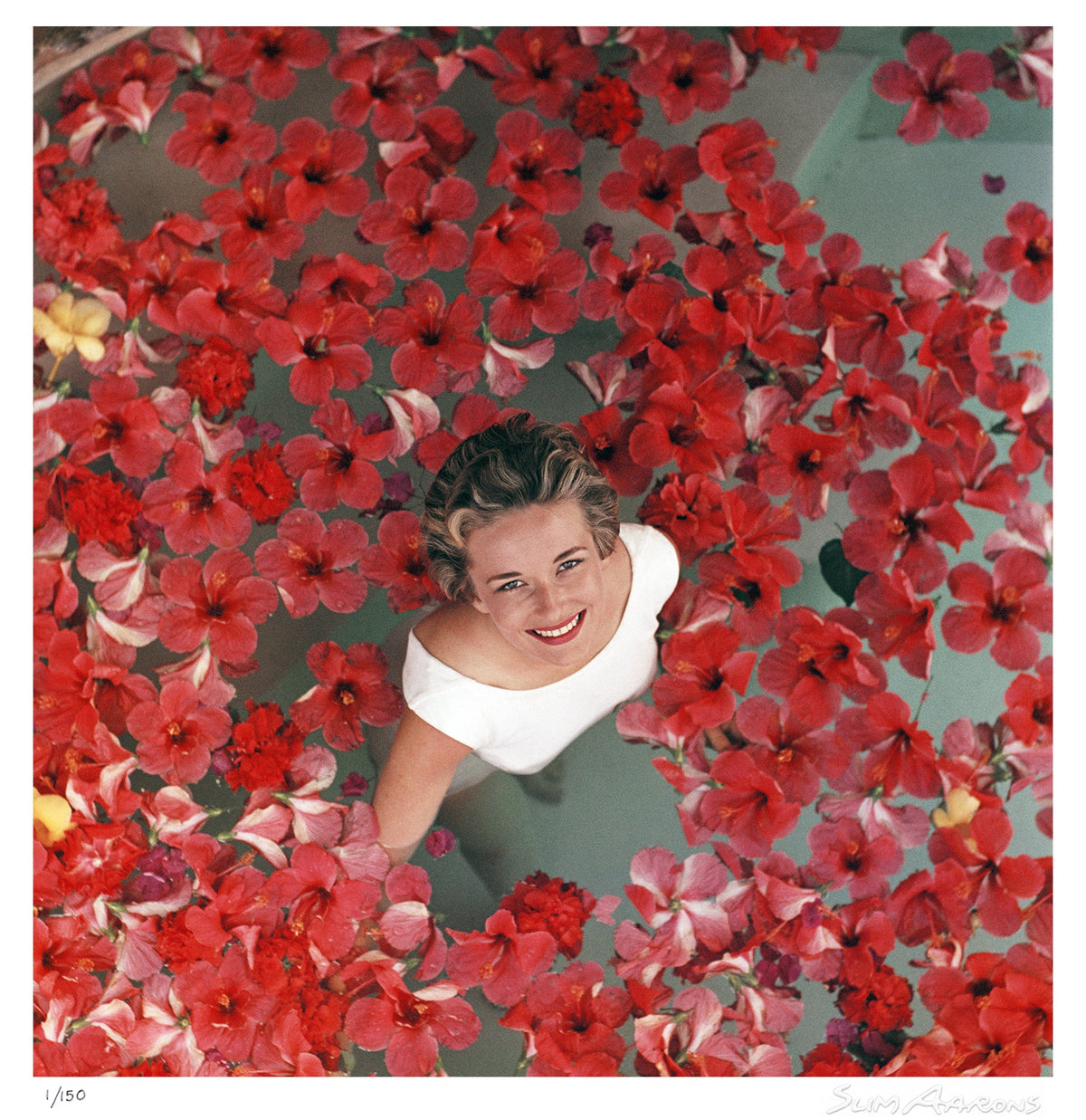 hibiscus flowers - Slim Aarons - Limited Edition - Estate Stamped - Photography - Getty Images