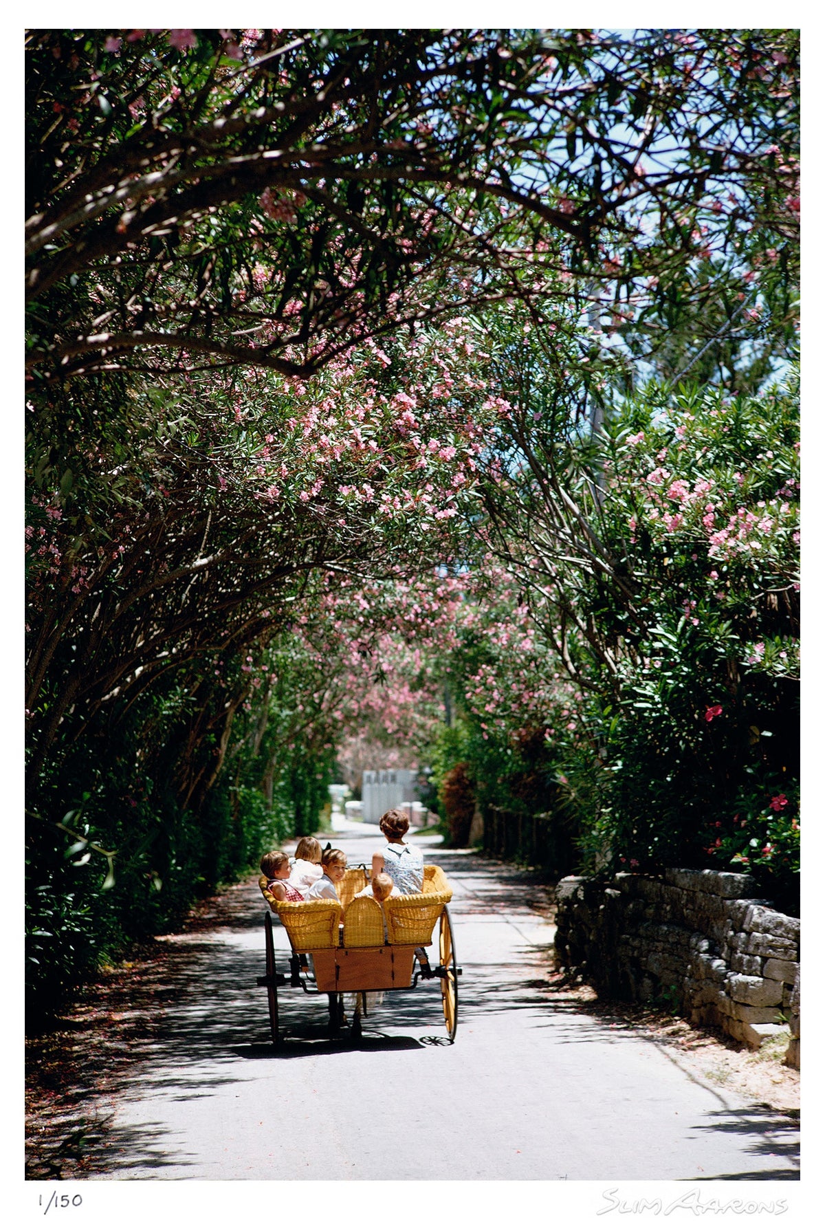 oleander drive - Slim Aarons - Limited Edition - Estate Stamped - Photography - Getty Images