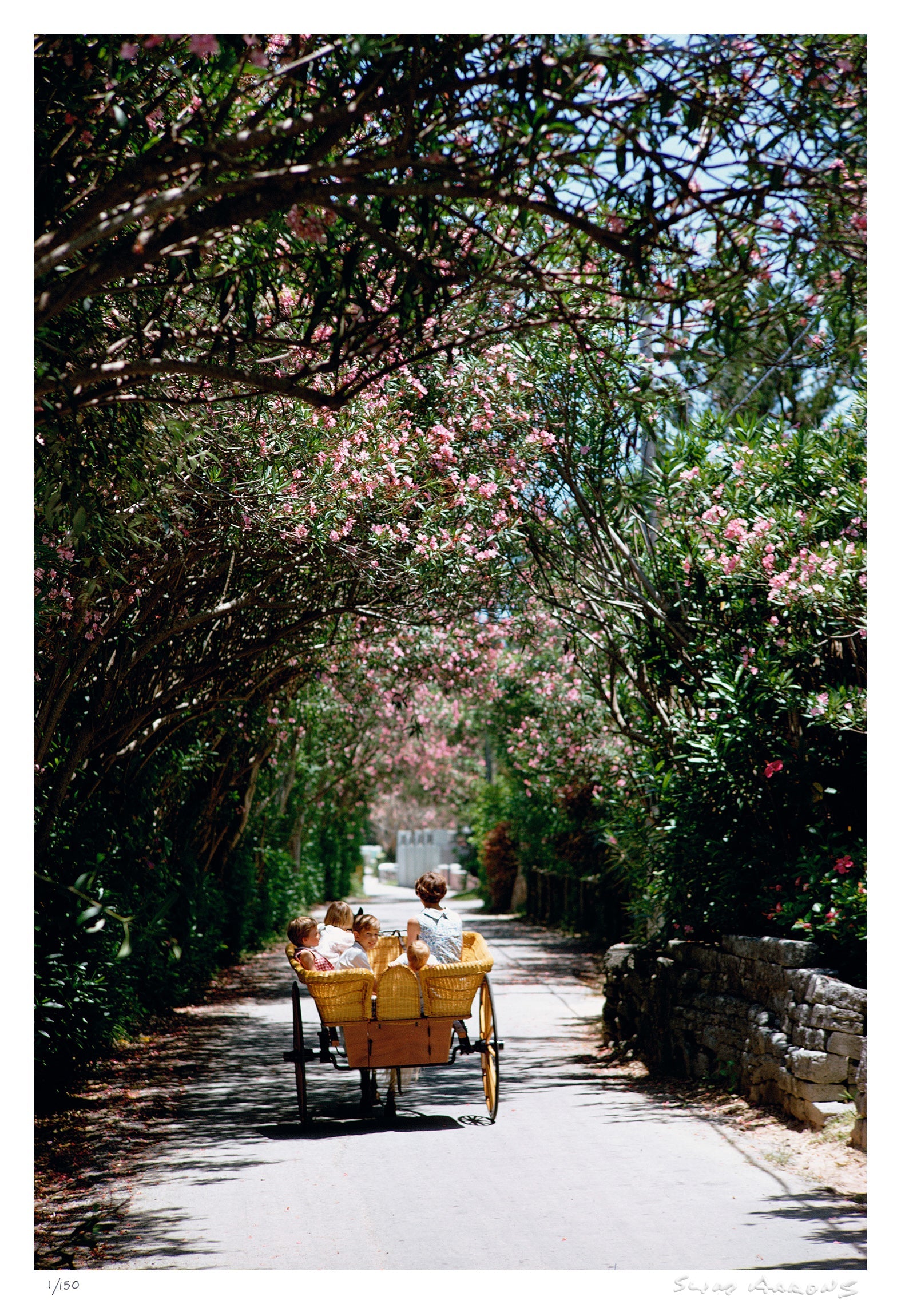 oleander drive - Slim Aarons - Limited Edition - Estate Stamped - Photography - Getty Images