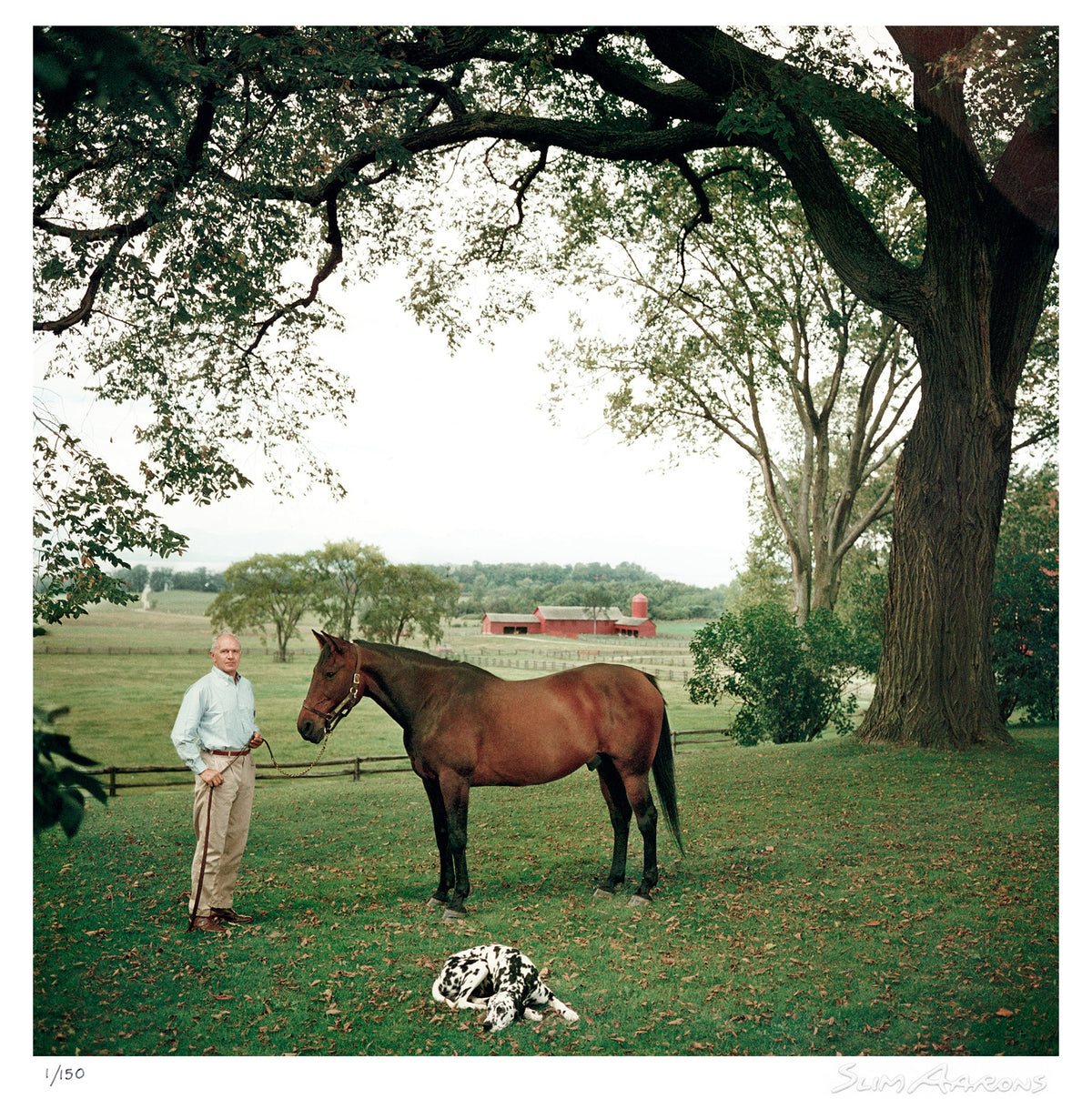 prize trotter - Slim Aarons - Limited Edition - Estate Stamped - Photography - Getty Images