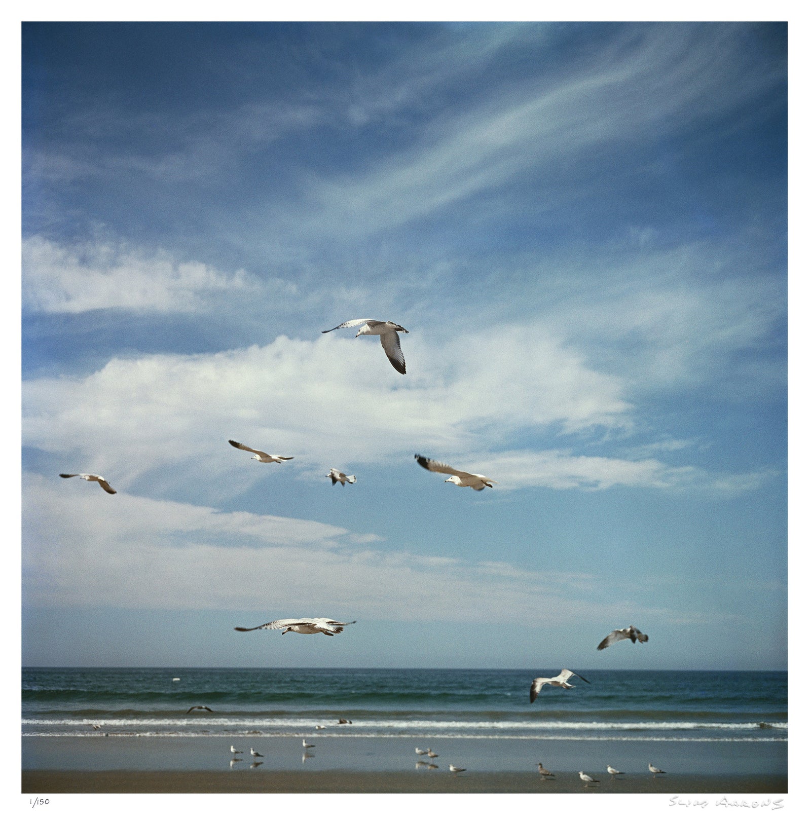 san diego gulls - Slim Aarons - Limited Edition - Estate Stamped - Photography - Getty Images