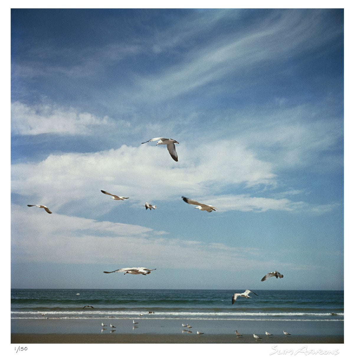 san diego gulls - Slim Aarons - Limited Edition - Estate Stamped - Photography - Getty Images