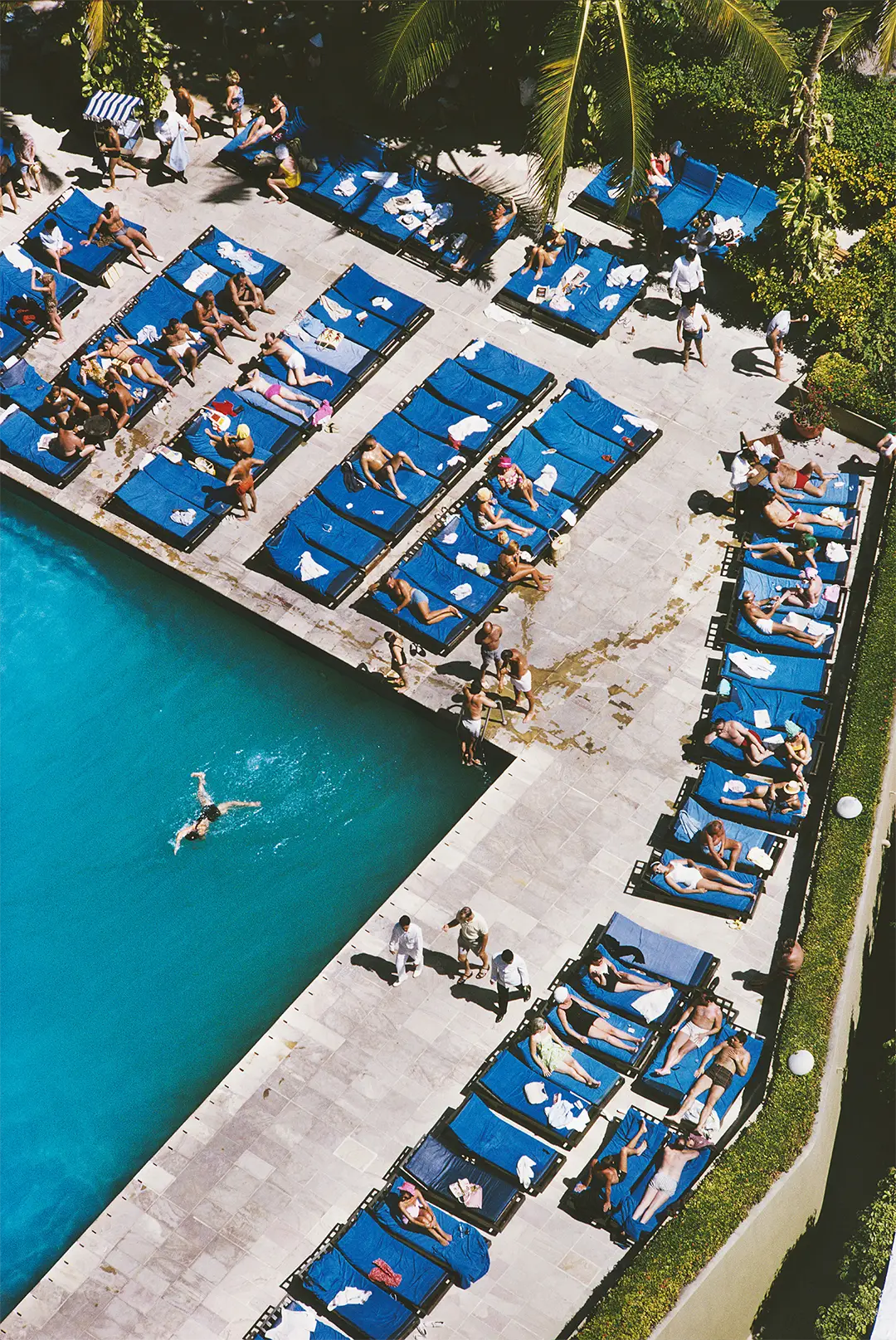 Acapulco Holiday by Slim Aarons/Getty Images, 1966. Deckchairs lined up beside a swimming pool in Acapulco. Open Edition C-Type Photographic Print.. Portrait orientation. Available at Electric Gallery, London, UK.