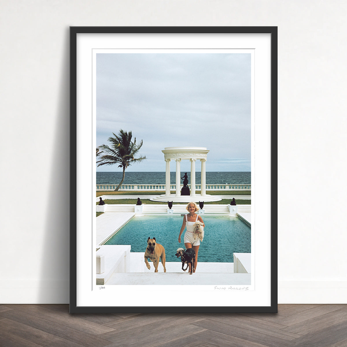 Slim Aarons Limited Edition Estate Stamped czs dogs limited edition 3230608 Framed