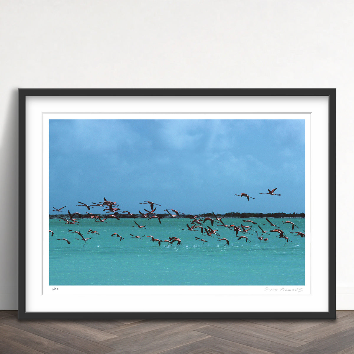 Slim Aarons Limited Edition Estate Stamped flamingos in curacao limited edition 113915276 Framed