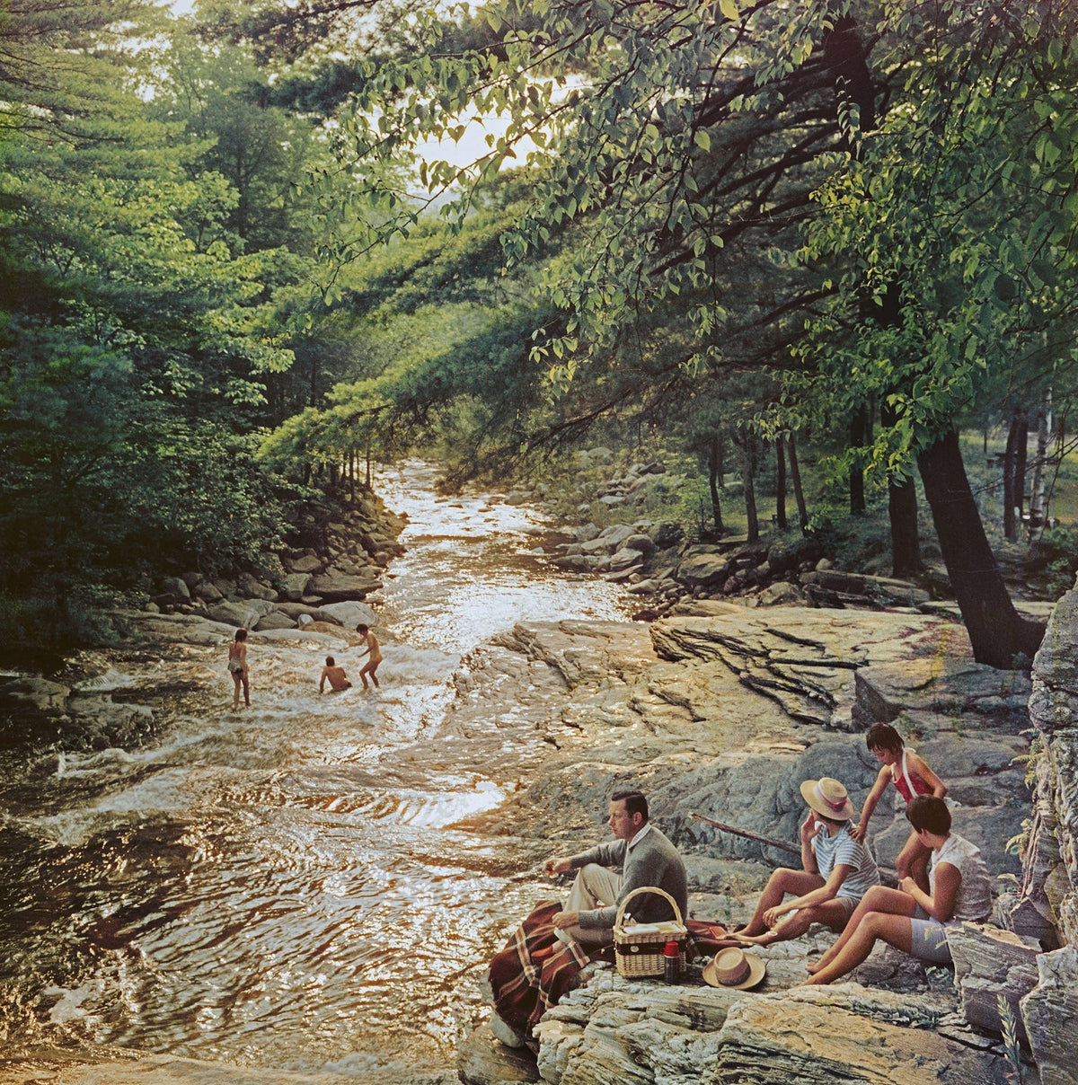Campbell Falls Picnic