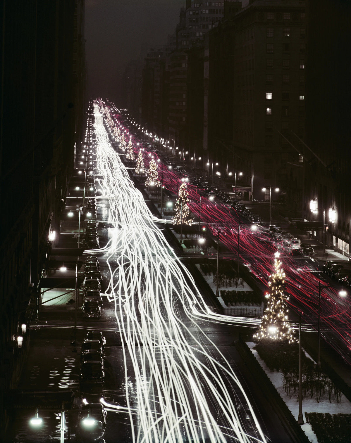 Christmas trees and red and white automobile light trails on Park Avenue, New York, at Christmas time, December 1953. Slim Aarons photograph.
