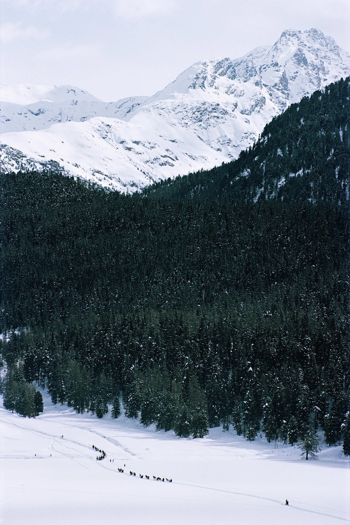 Crossing Snow Field