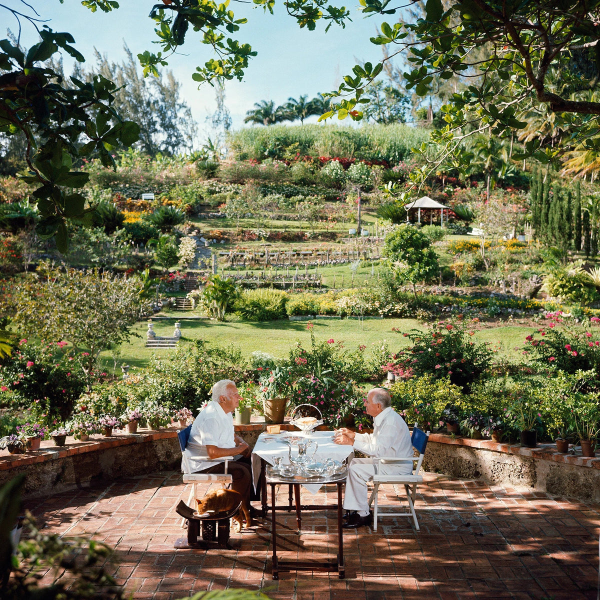 Dining Al Fresco