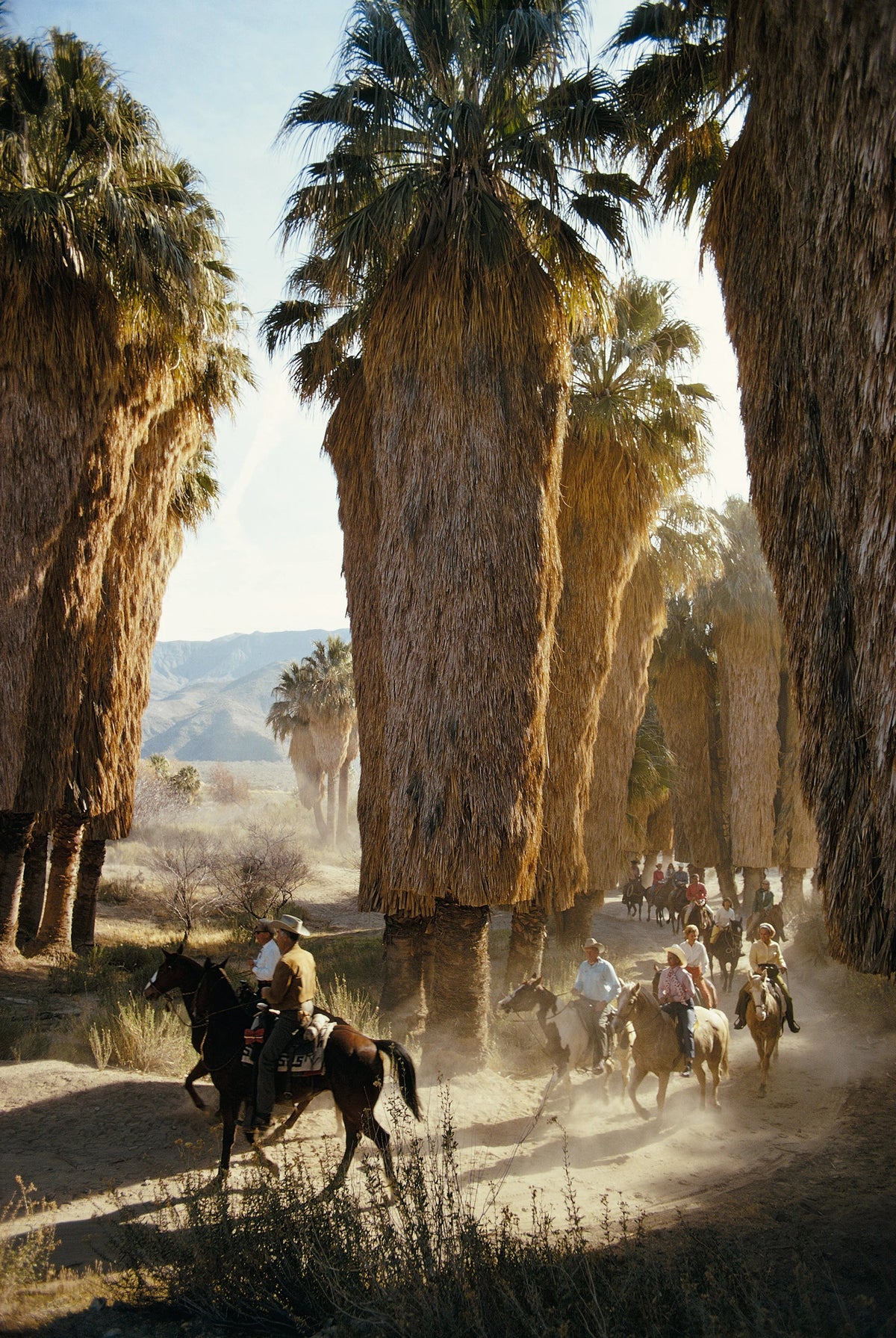 Palm Springs Riders