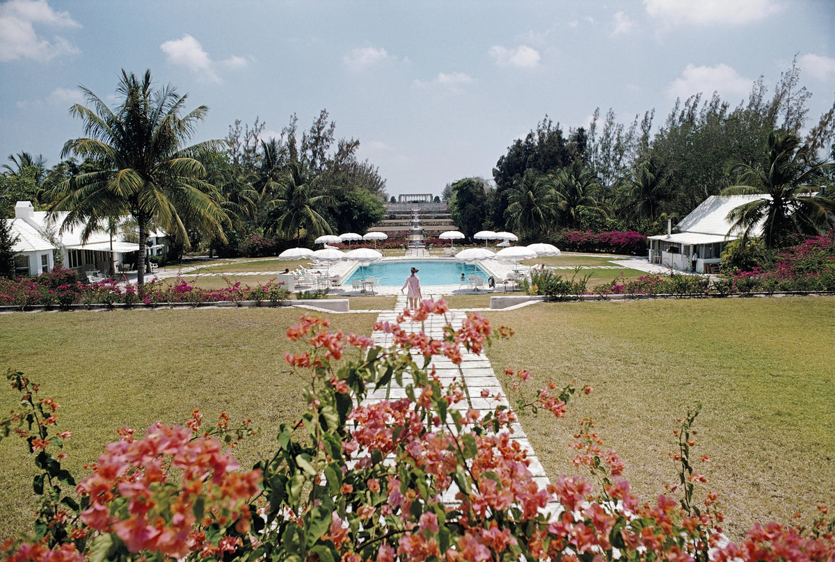 Paradise Island