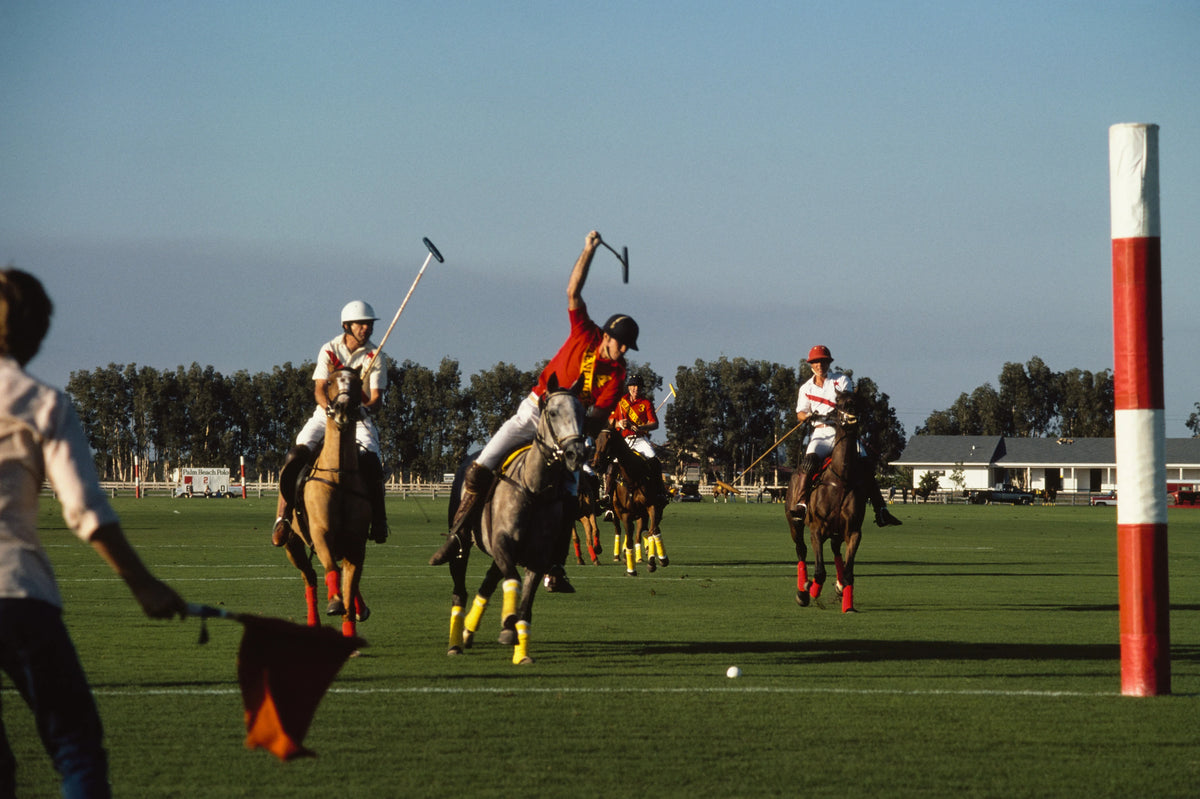 Polo Match