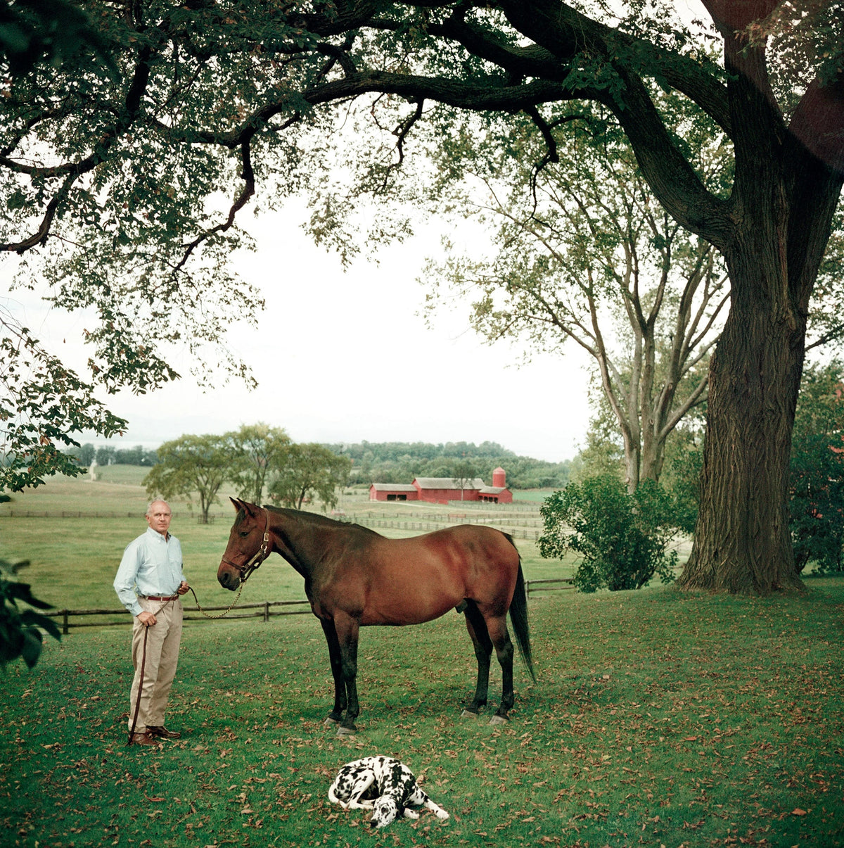 Prize Trotter