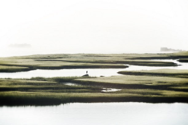 massachusetts-mist-Stuart Möller-Photographic Print-612x408