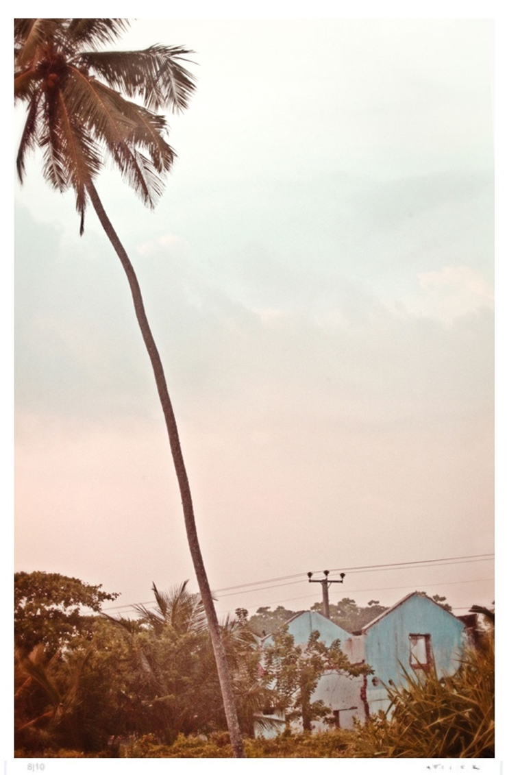 palm-blue-house-Stuart Möller-Photographic Print-740x1131