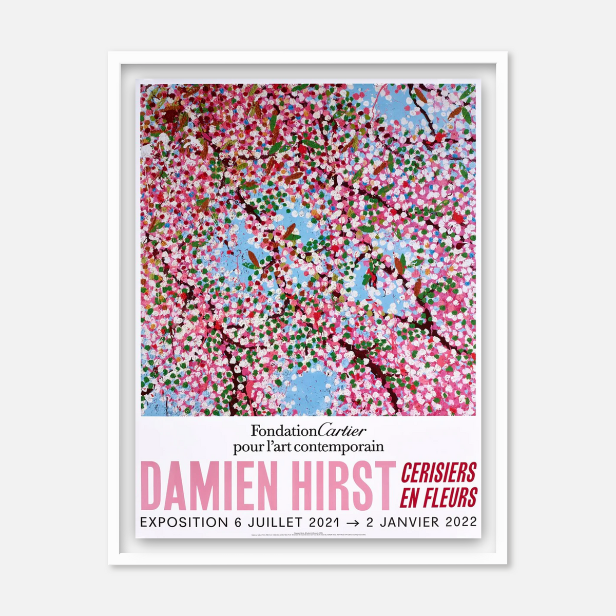 Cherry Blossoms (Set of 6) (Framed)