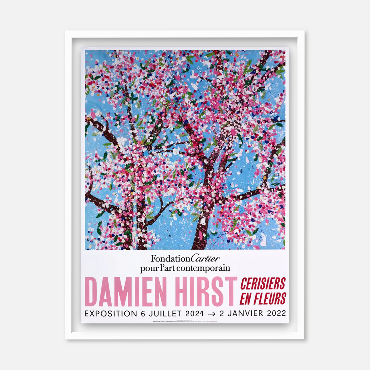 Cherry Blossoms (Set of 6) (Framed)