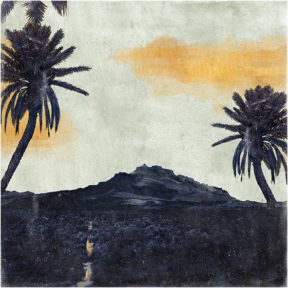 The Palmerie by Nadia Attura